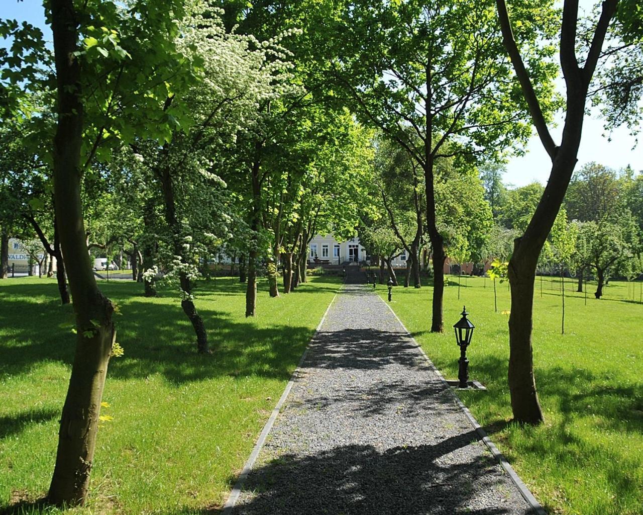Waldhotel Райнбах Экстерьер фото